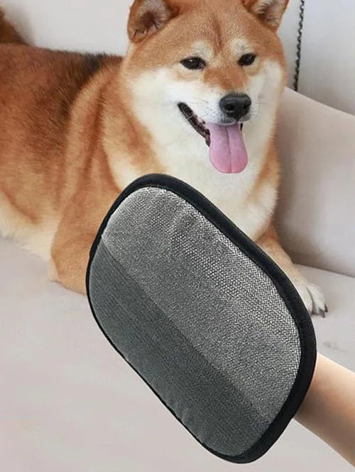 Pet Hair Remover Glove