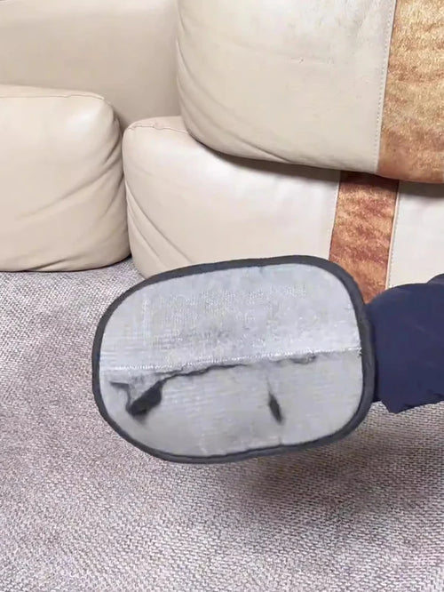 Pet Hair Remover Glove